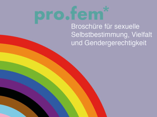 profem* Broschüre für sexuelle Selbstbestimmung, Vielfalt und Gendergerechtigkeit